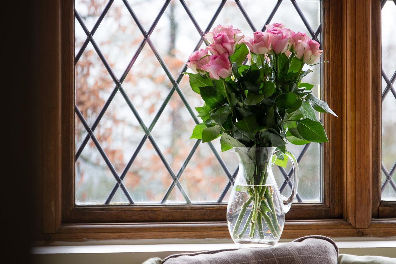 The Graig Bed & Breakfast Ludlow Farden Bagian luar foto