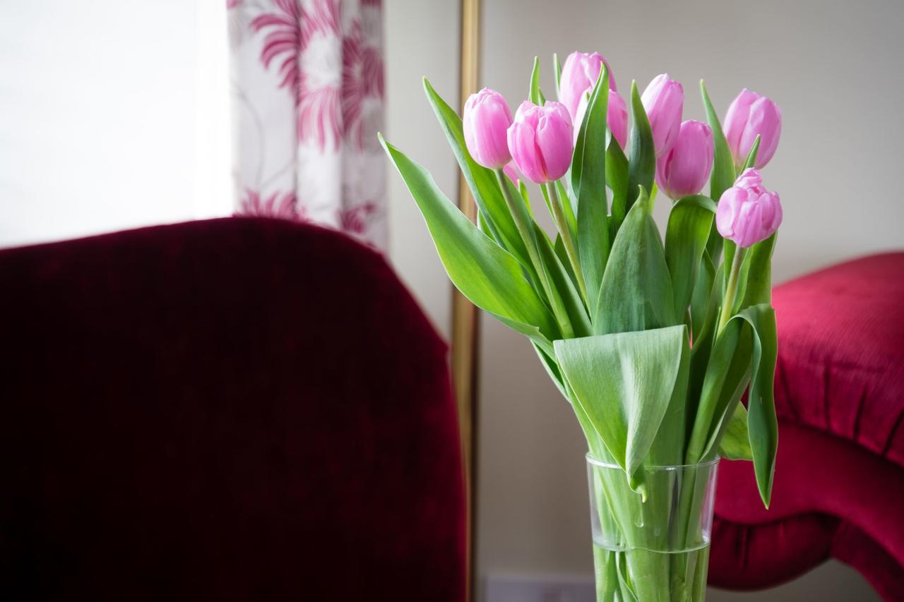 The Graig Bed & Breakfast Ludlow Farden Bagian luar foto